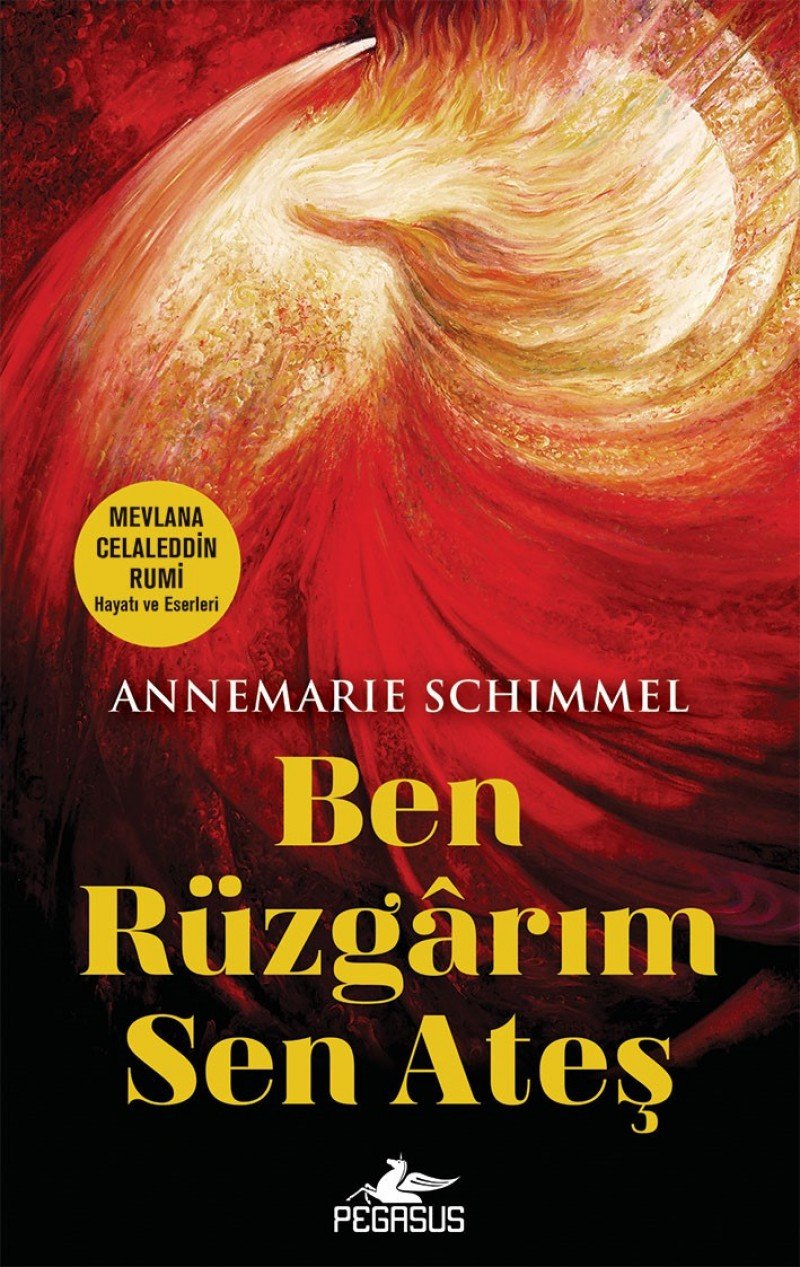 Ben Rüzgarim Sen Ates Books