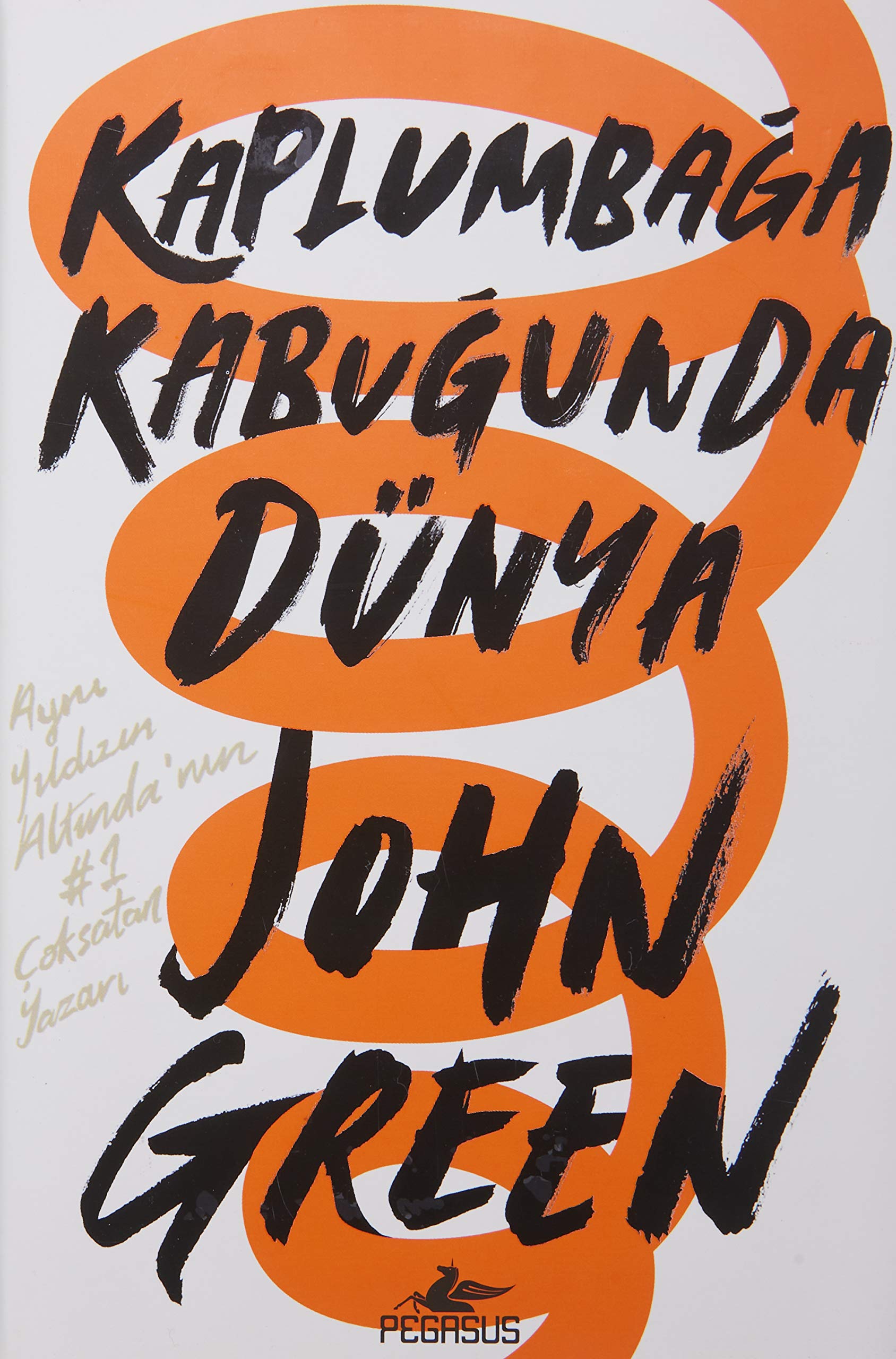 Kaplumbağa Kabuğunda Dünya (Ciltli) book
