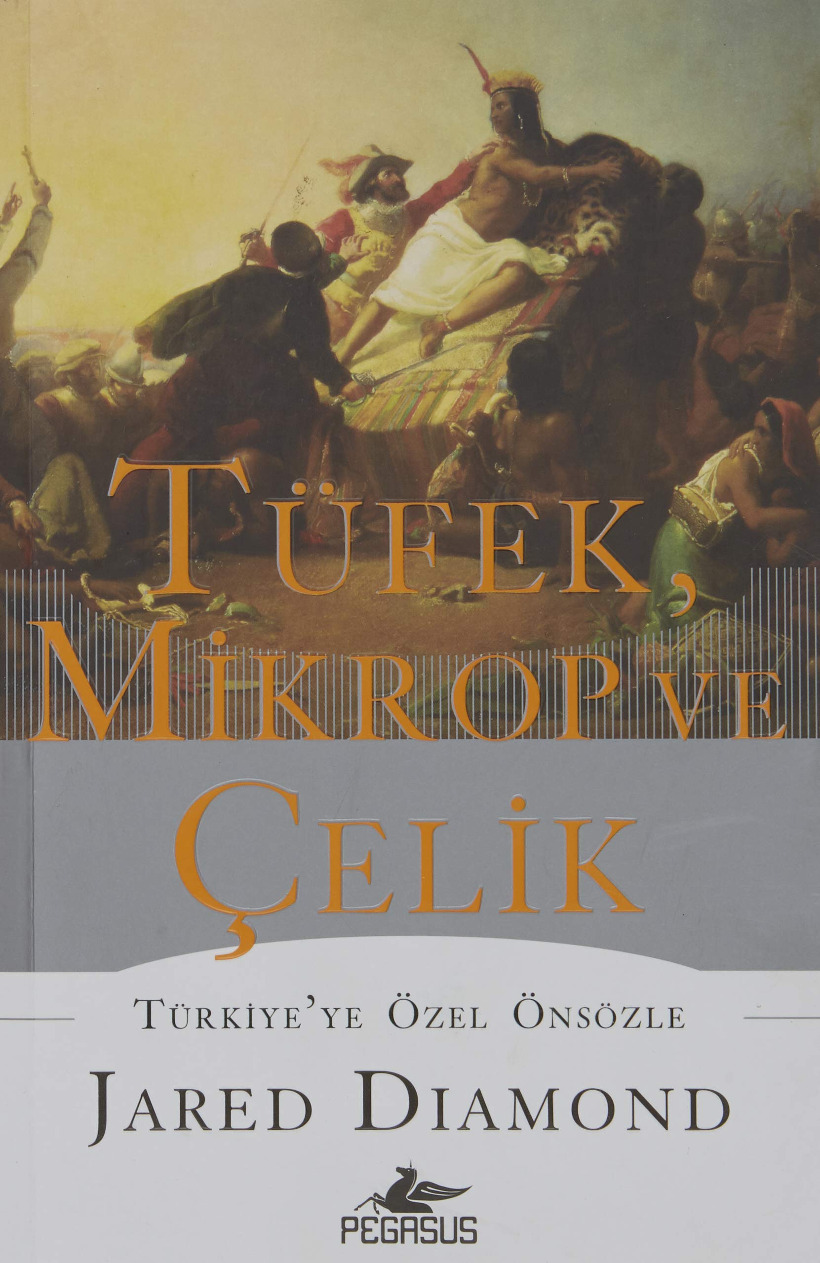 Tüfek, Mikrop ve Celik Politics & History books