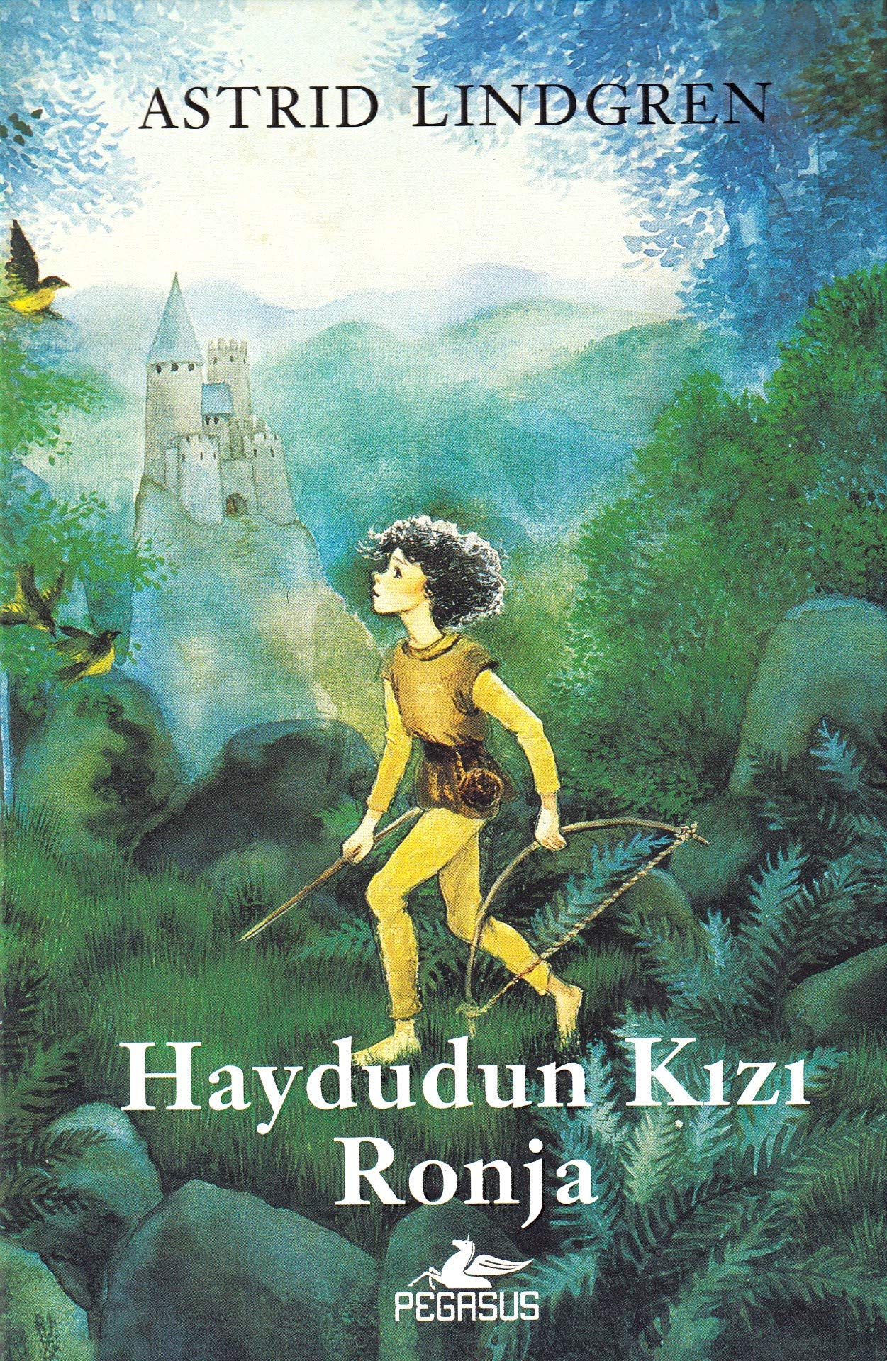 Haydudun Kızı Ronja (Ciltli) Contemporary literature
