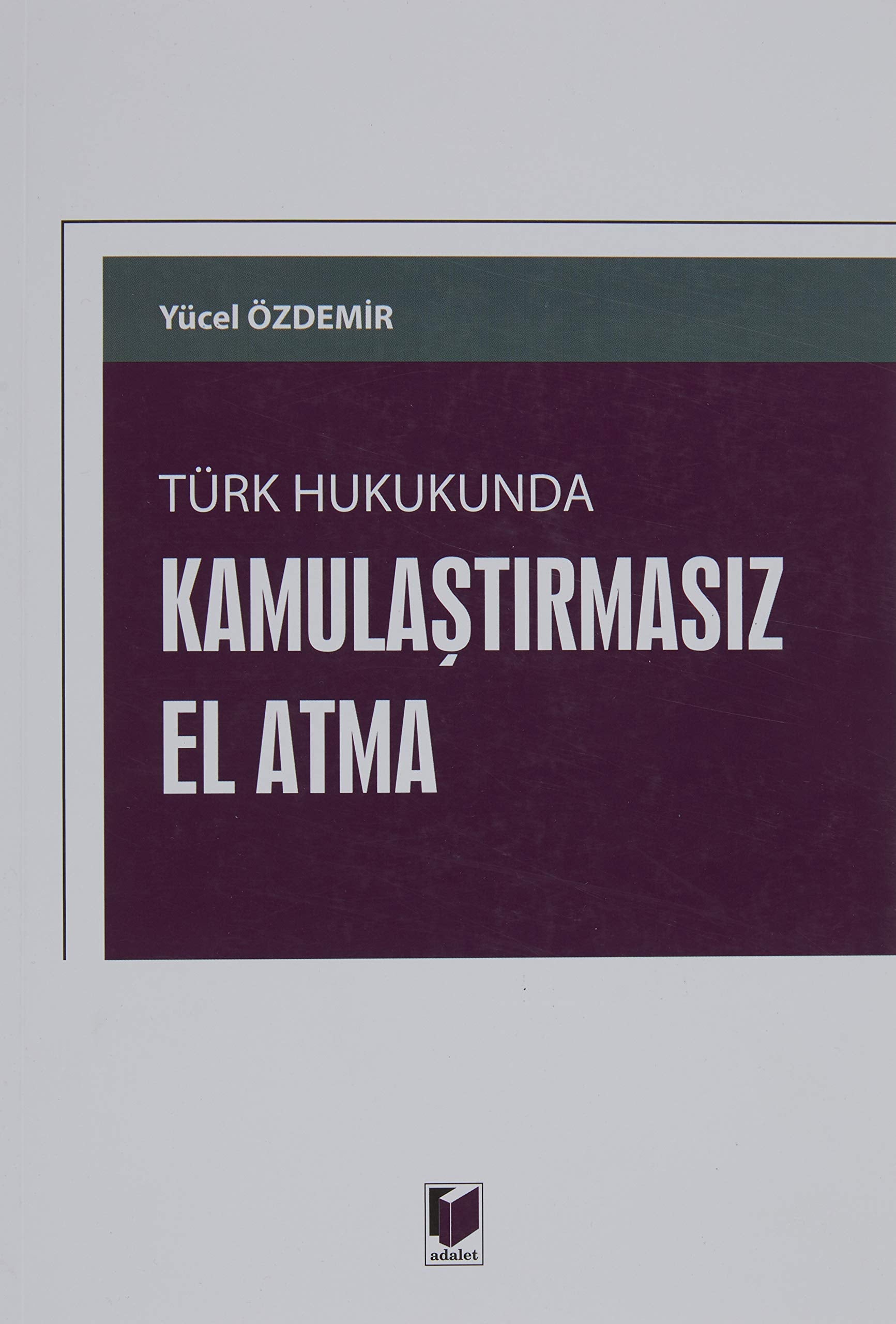 Türk Hukukunda Kamulaştırmasız El Atma Books