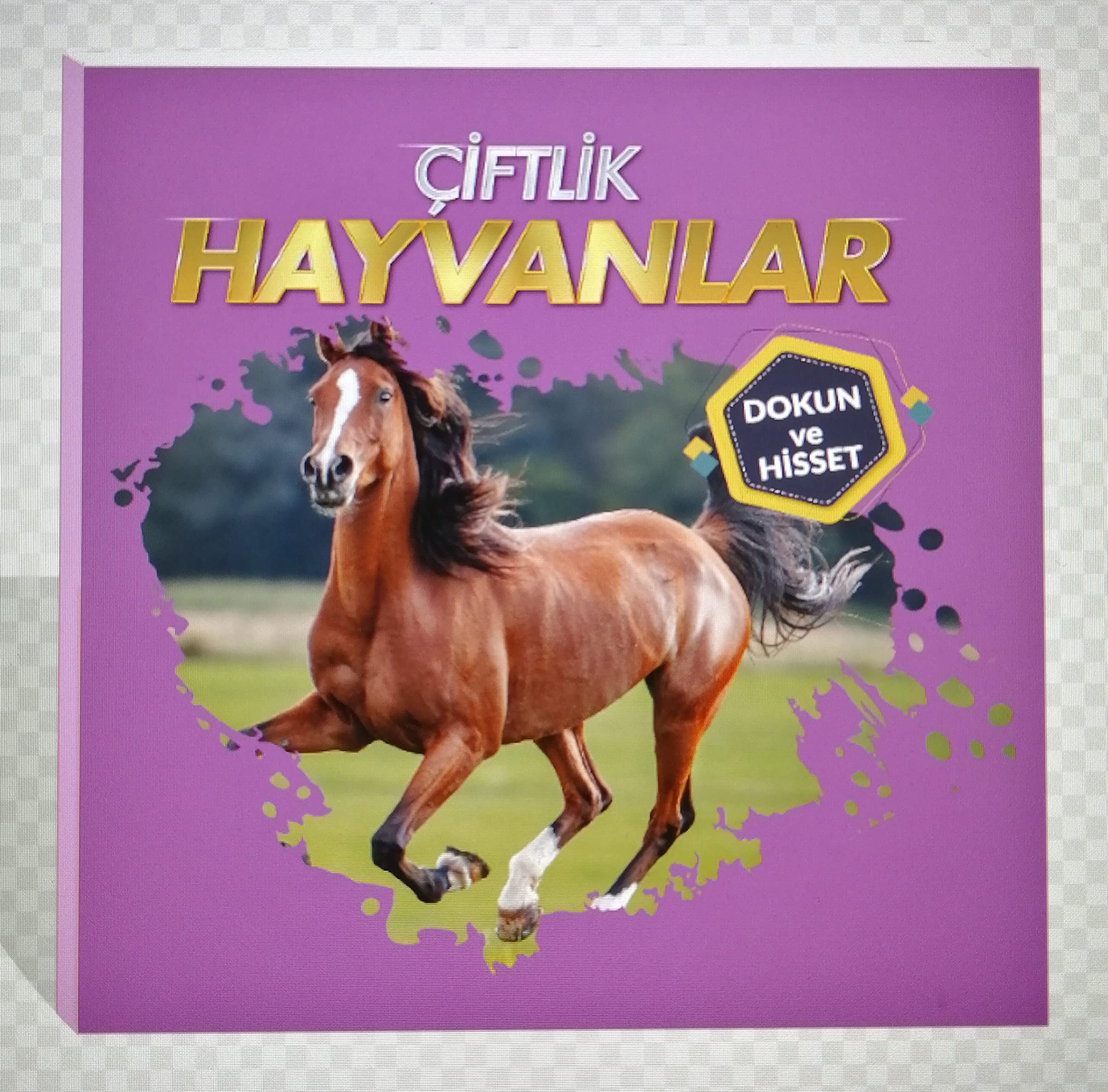 Dokun ve Hisset - Ciftlik Hayvanlari Books