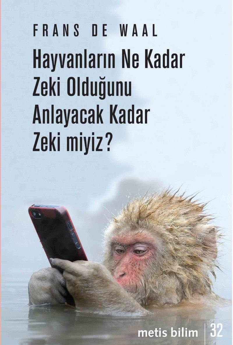 Hayvanlarin Ne Kadar Zeki Oldugunu Anlayacak Kadar Zeki miyiz Social Sciences