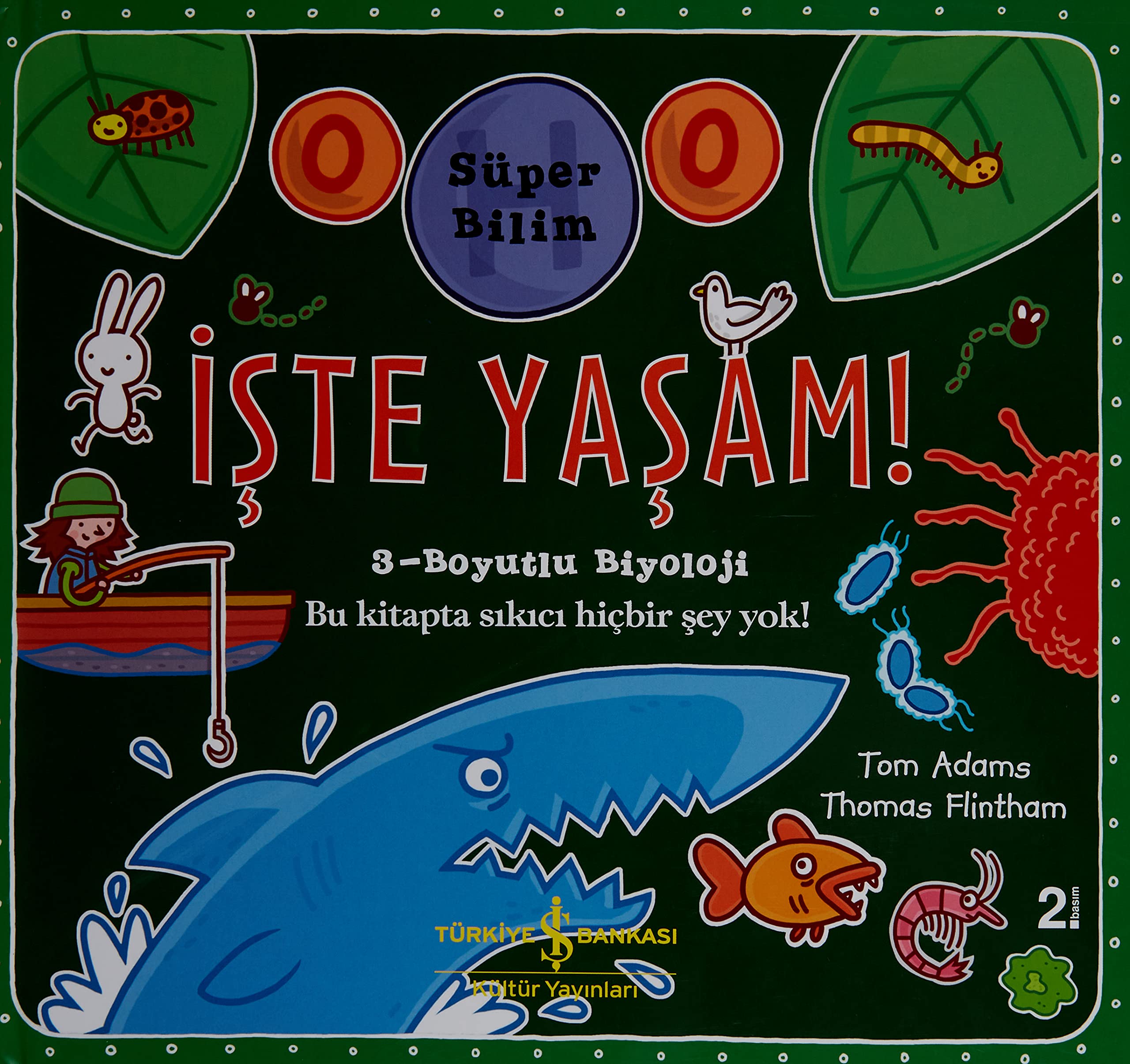 Product Image: Iste Yasam