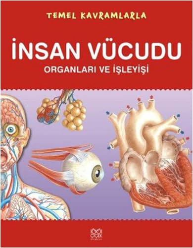 Temel Kavramlarla: Insan Vücudu Organlari ve Isleyisi Books