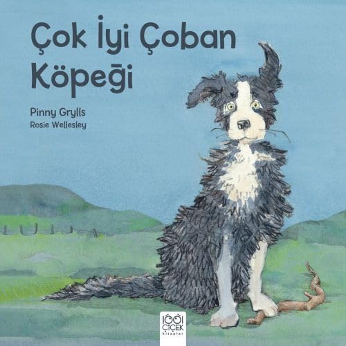 Cok Iyi Coban Köpegi Contemporary literature