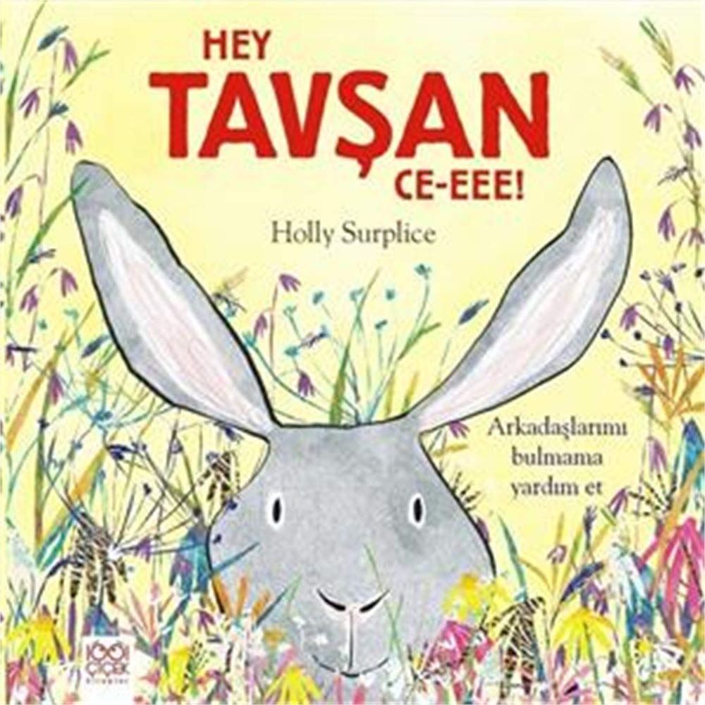 Hey Tavsan Ce-eee: Arkadaslarimi Bulmama Yardim Et: Arkadaşlarımı bulmama yardım et Contemporary literature