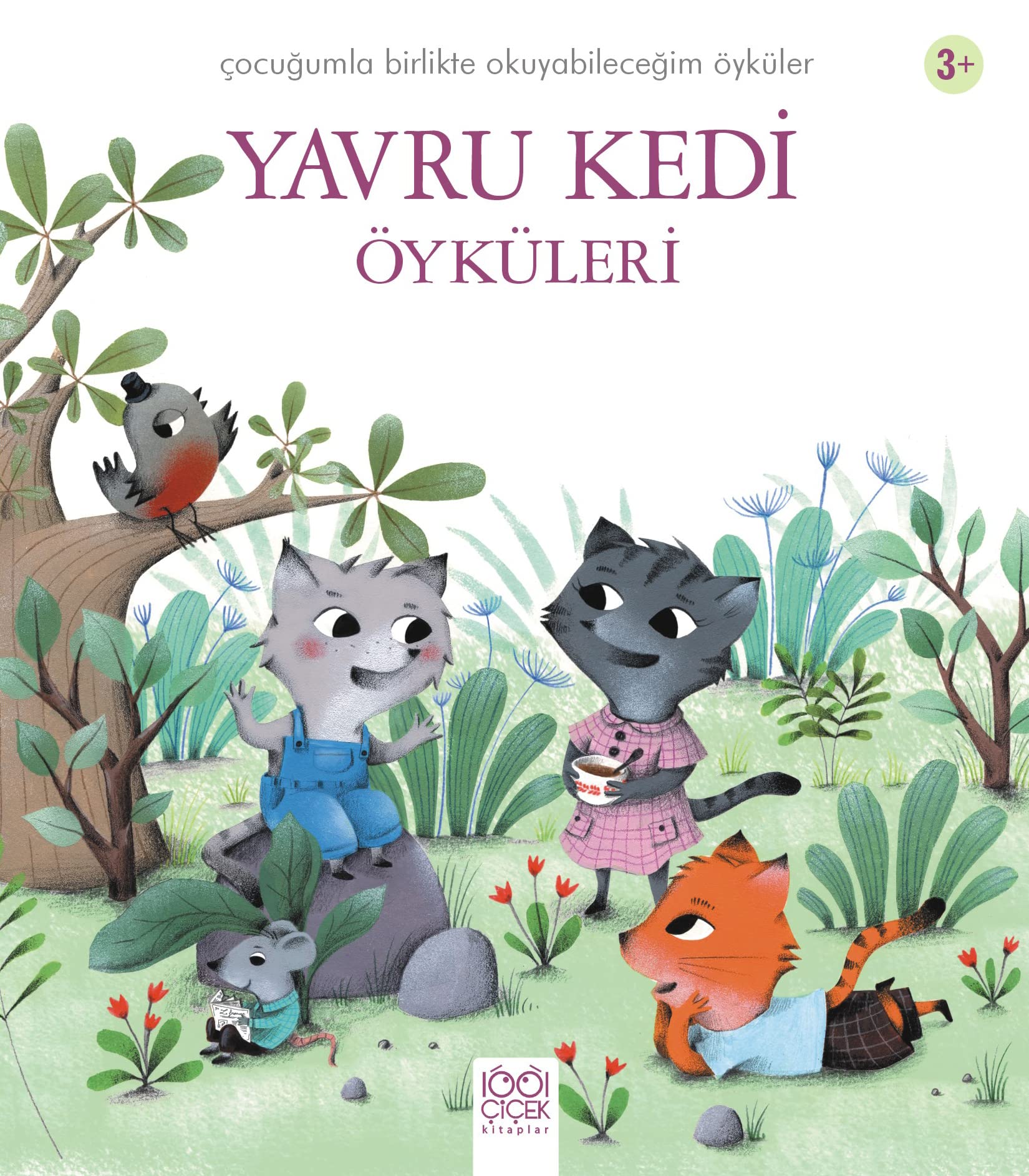 Yavru Kedi Öyküleri Fairy Tales & Legends