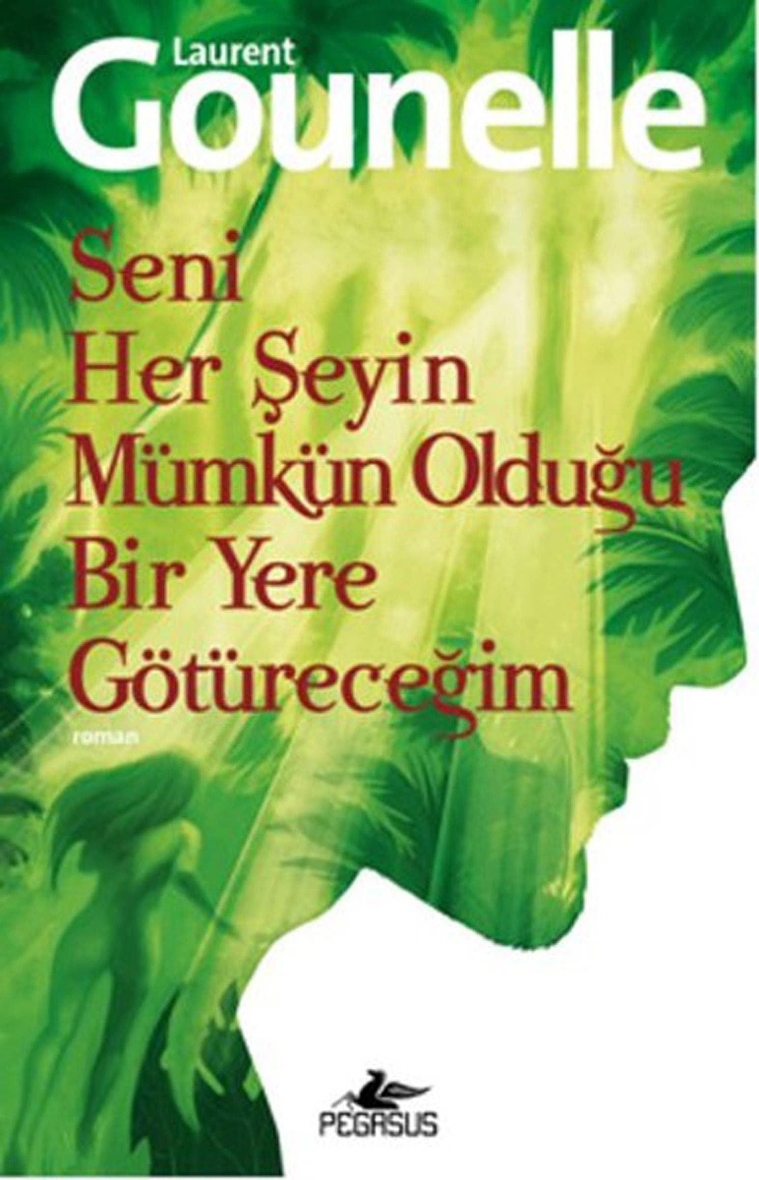 Seni Her Seyin Mümkün Oldugu Bir Yere Götürecegim Contemporary literature