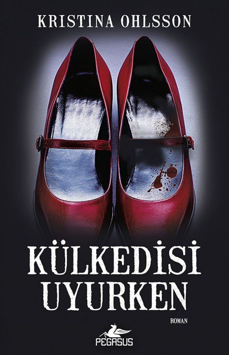 Külkedisi Uyurken Historical Fiction