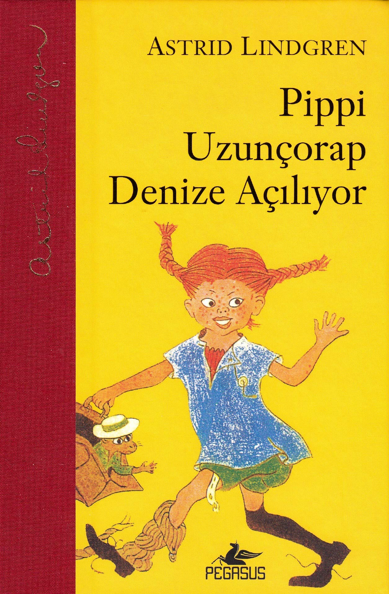 Pippi Uzuncorap Denize Aciliyor Contemporary literature