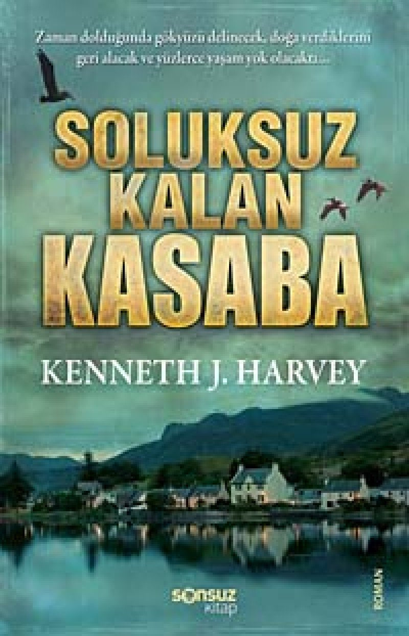 Soluksuz Kalan Kasaba: Zaman dolduğunda gökyüzü delinecek, doğa verdiklerini geri alacak ve yüzlerce yaşam yok olacaktı... Historical Fiction