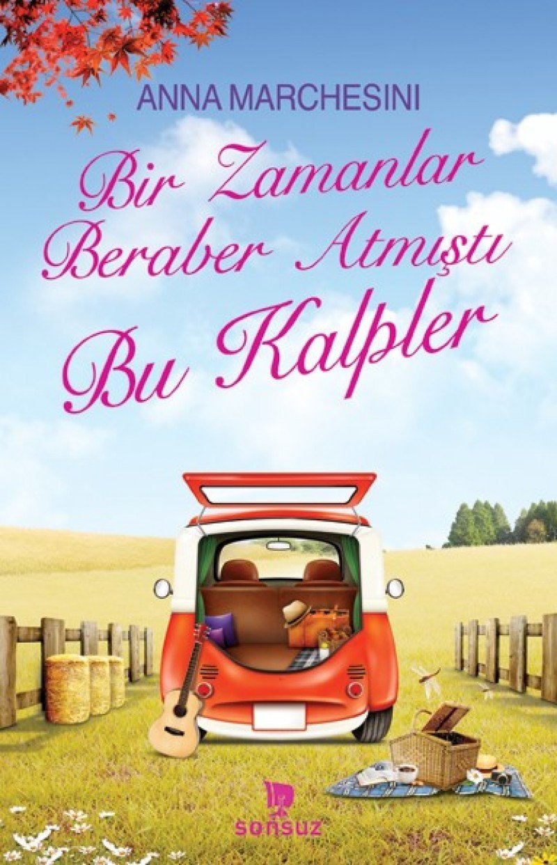 Bir Zamanlar Beraber Atmisti Bu Kalpler book