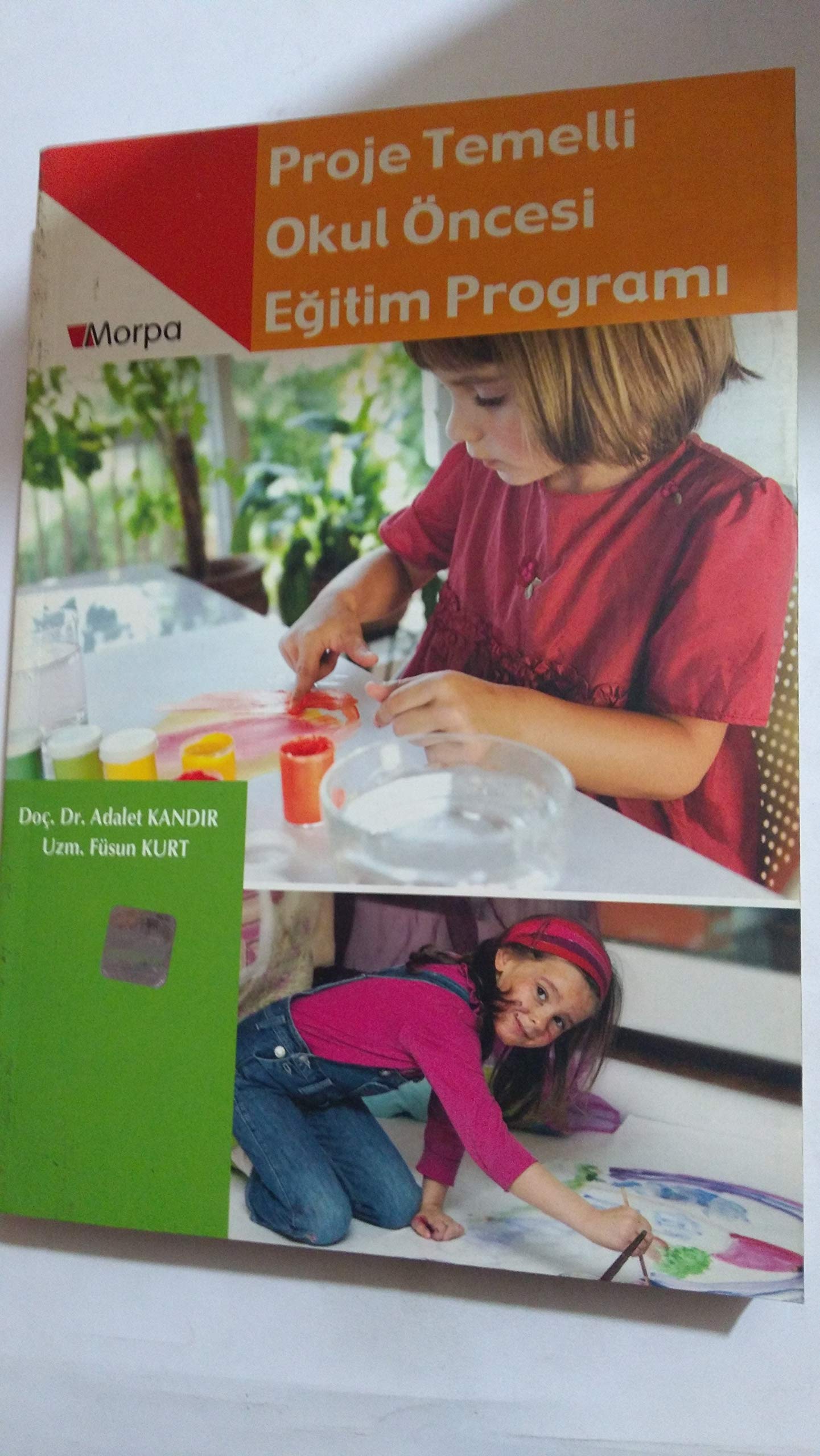 Proje Temelli Okul Öncesi Eğitimi Programı Books