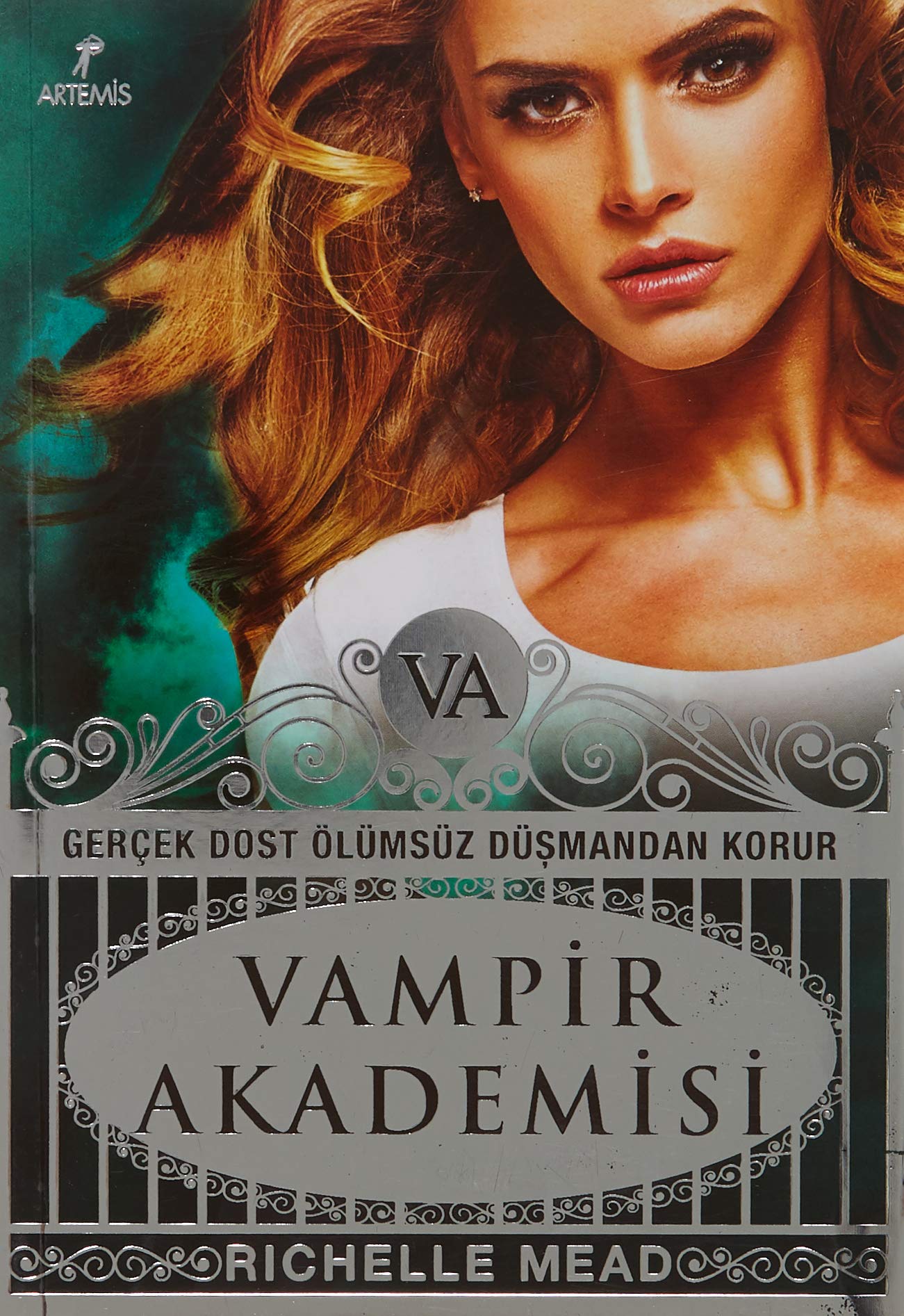 Vampir Akademisi: Gerçek Dost Ölümsüz Düşmandan Korur book
