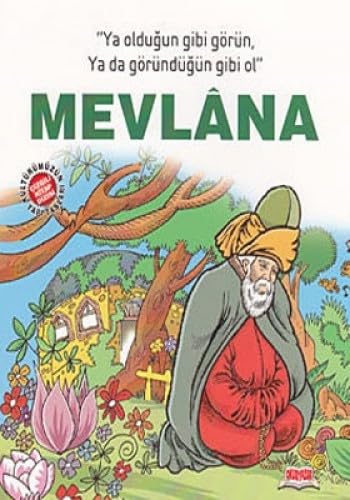MEVLANA KÜLTÜRÜMÜZÜN YAPI TAŞLARI book