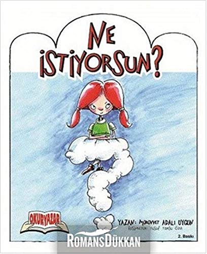 Ne Istiyorsun Contemporary literature