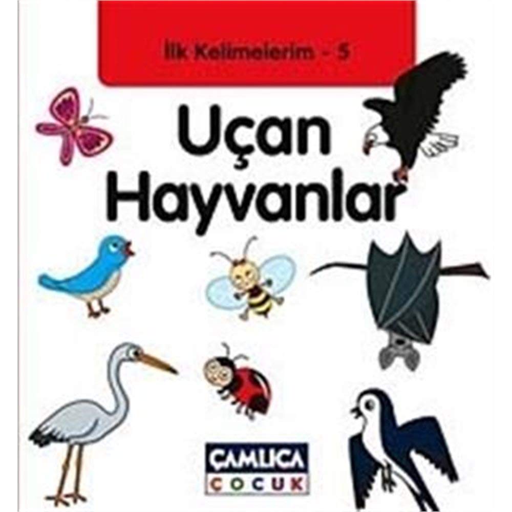 UÇAN HAYVANLAR İLK KELİMELERİM 5 book