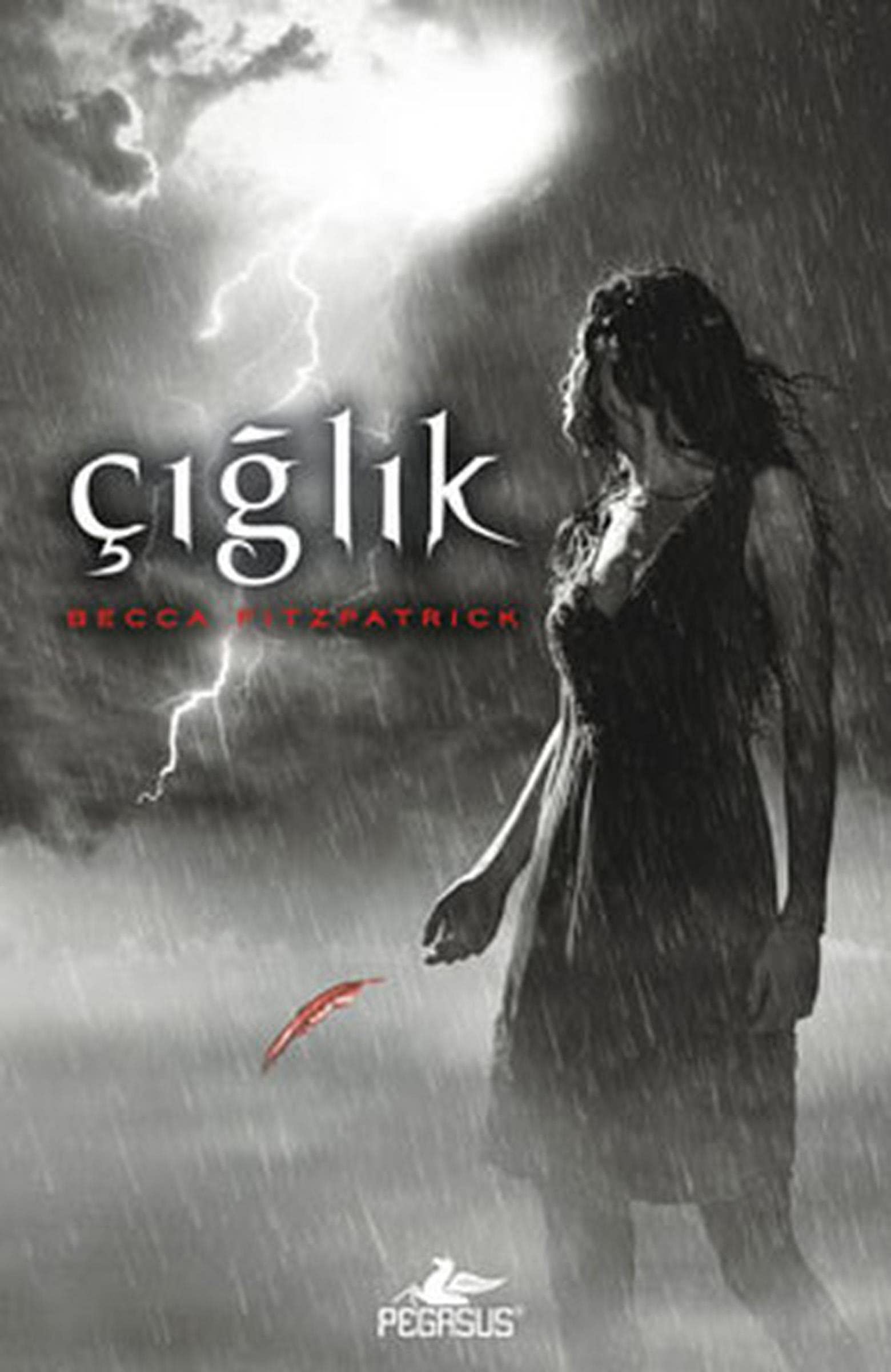 Ciglik - Hush Hush Serisi 2. Kitap Ciltli Action & Adventure