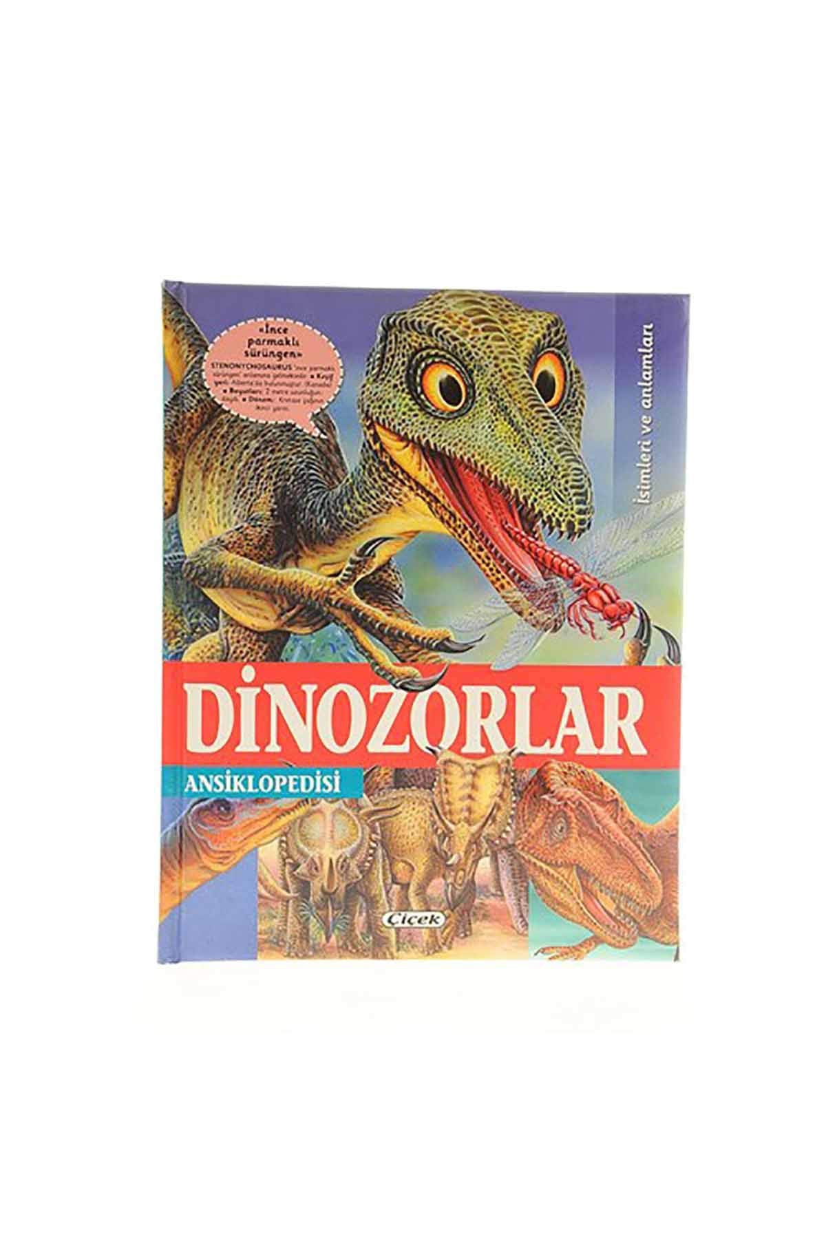 Dunya Dizisi - Dinozorlar Ansiklopedisi Books