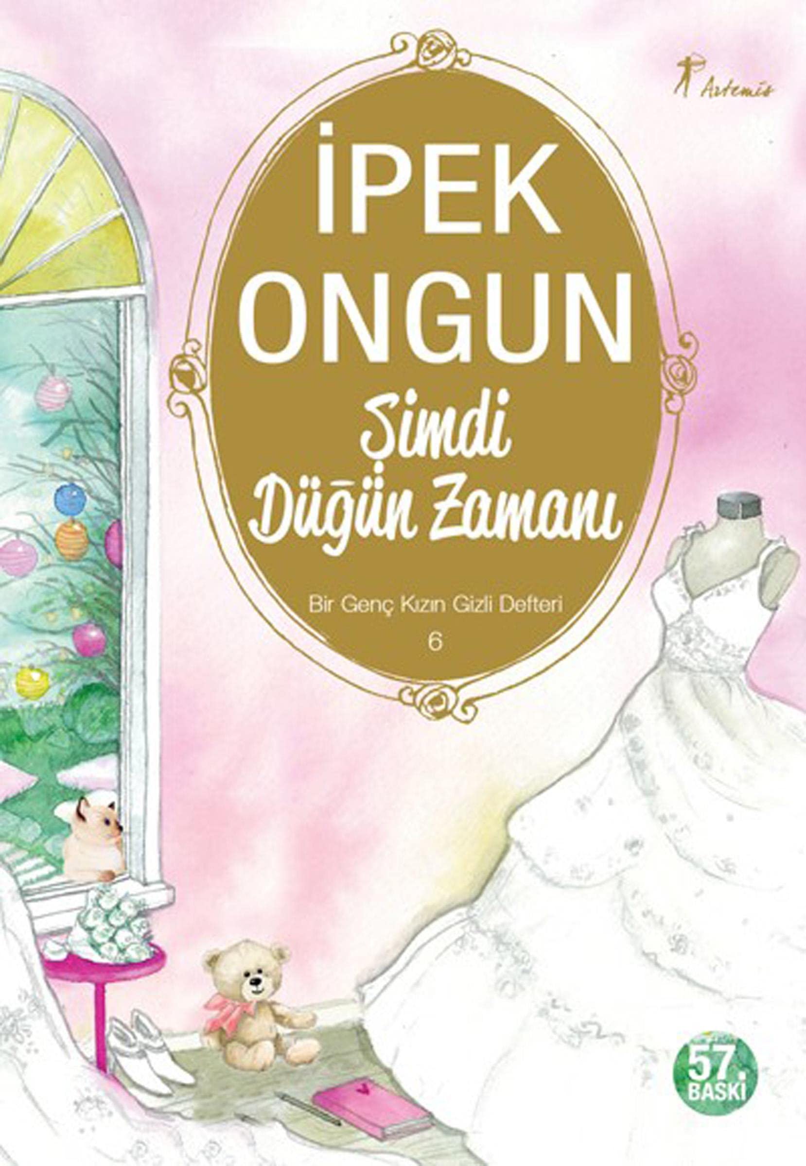 Simdi Dügün Zamani: Bir Genc Kizin Gizli Defteri 6: Bir Genç Kızın Gizli Defteri 6 Contemporary literature