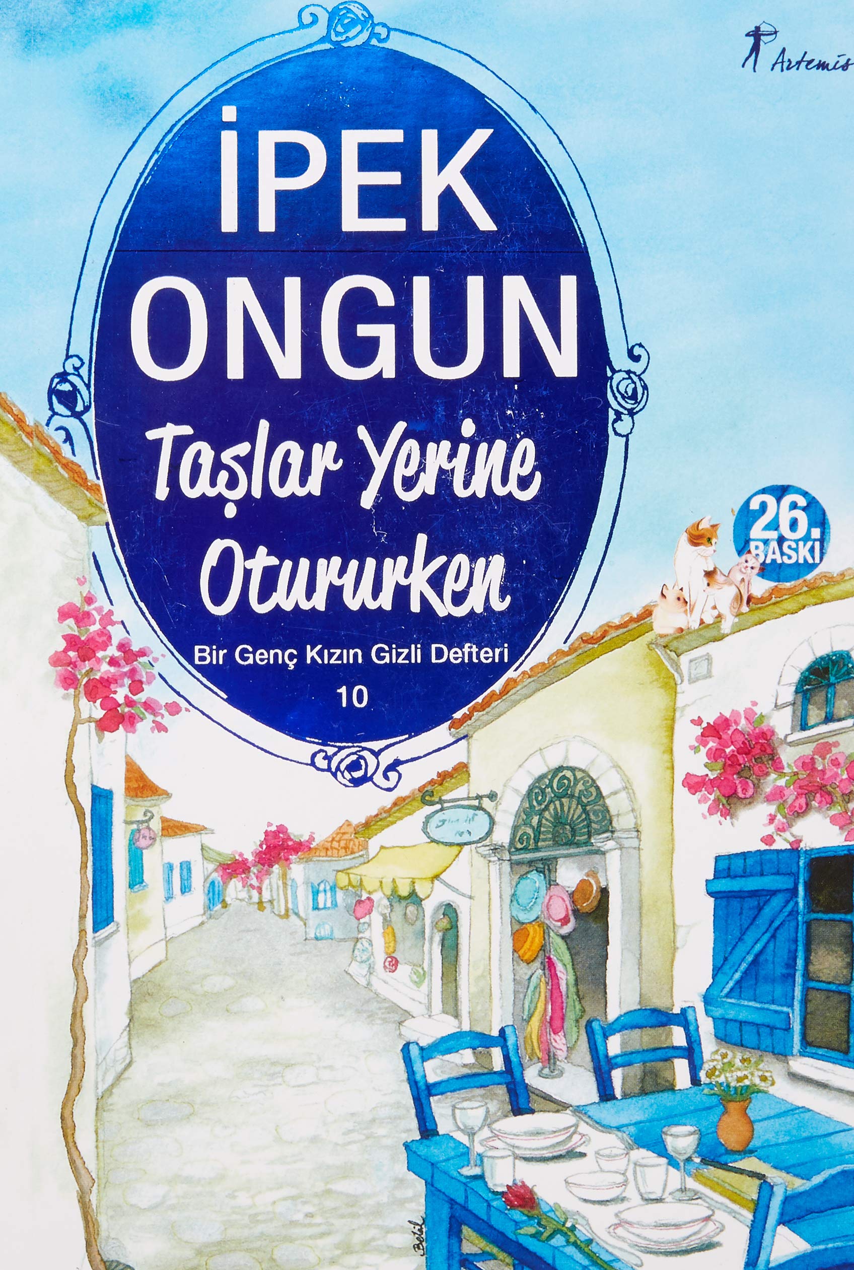 Taslar Yerine Otururken: Bir Genc Kizin Gizli Defteri 10: Bir Genç Kızın Gizli Defteri 10 Contemporary literature