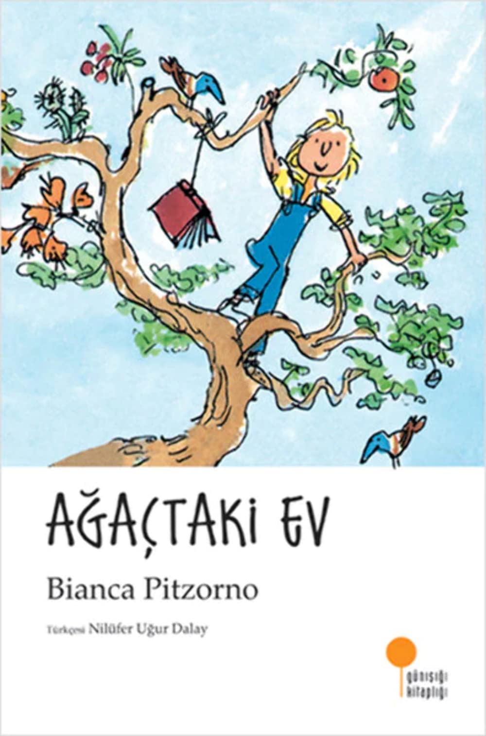 Product Image: Agactaki Ev