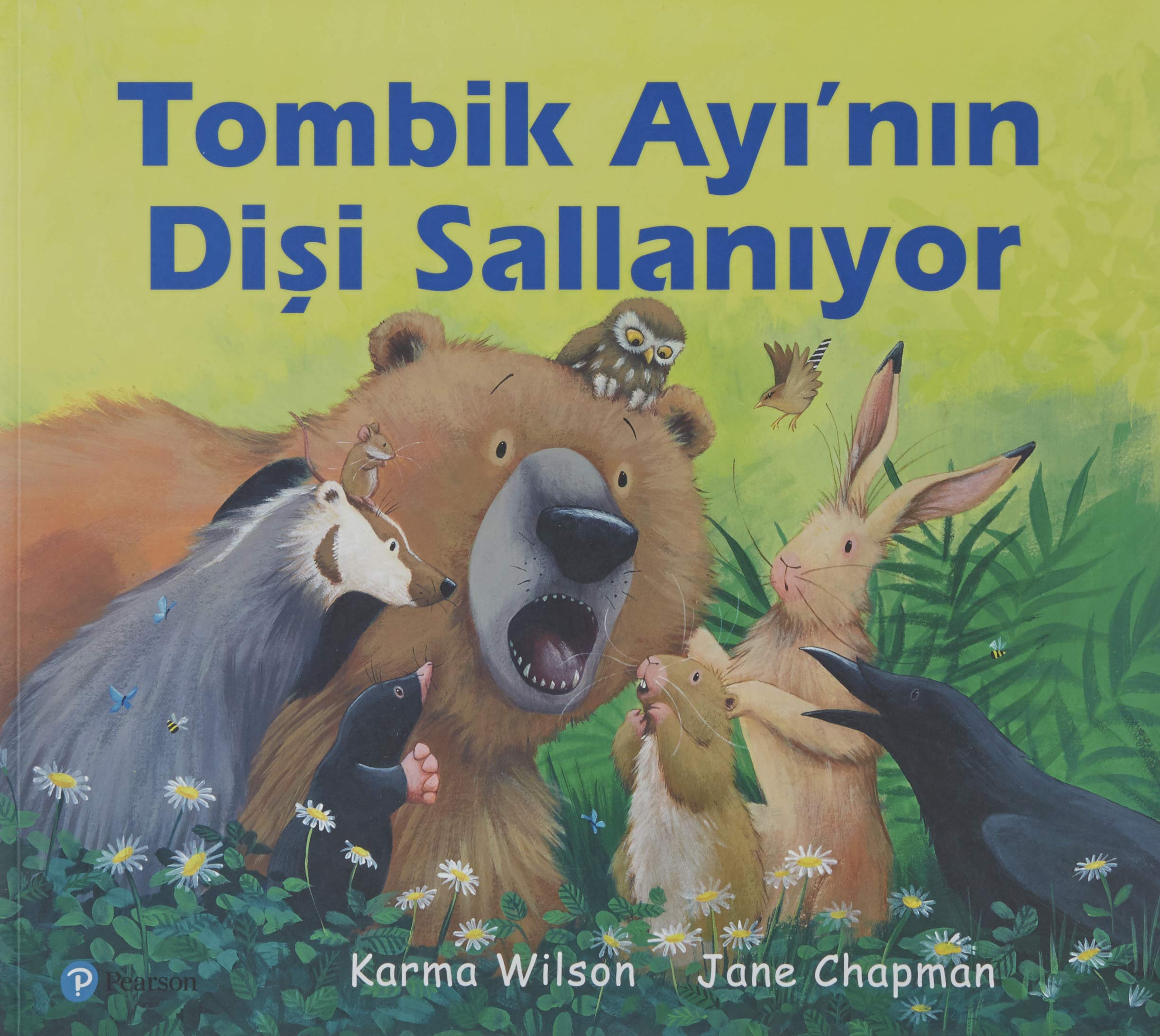 Tombik Ayinin Disi Sallaniyor book