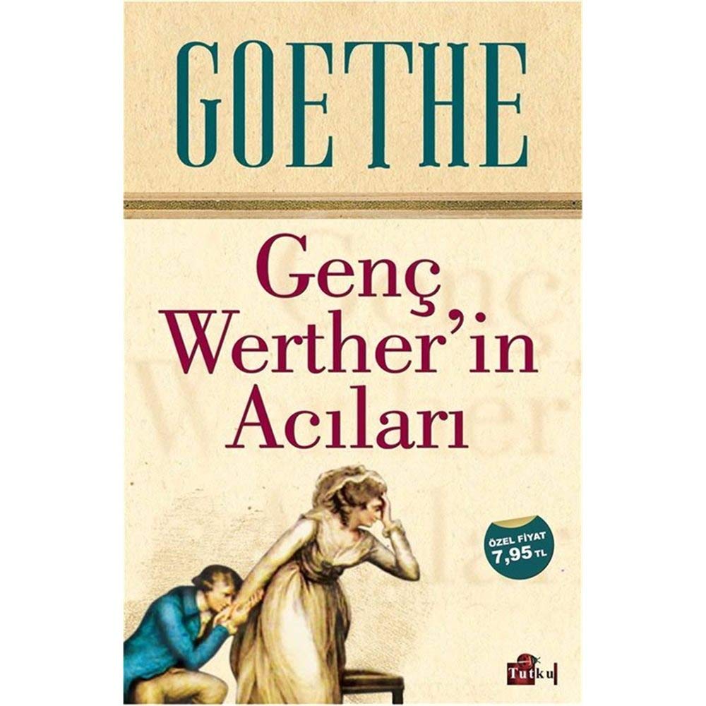 GENÇ WERTHERİN ACILARI Historical Fiction
