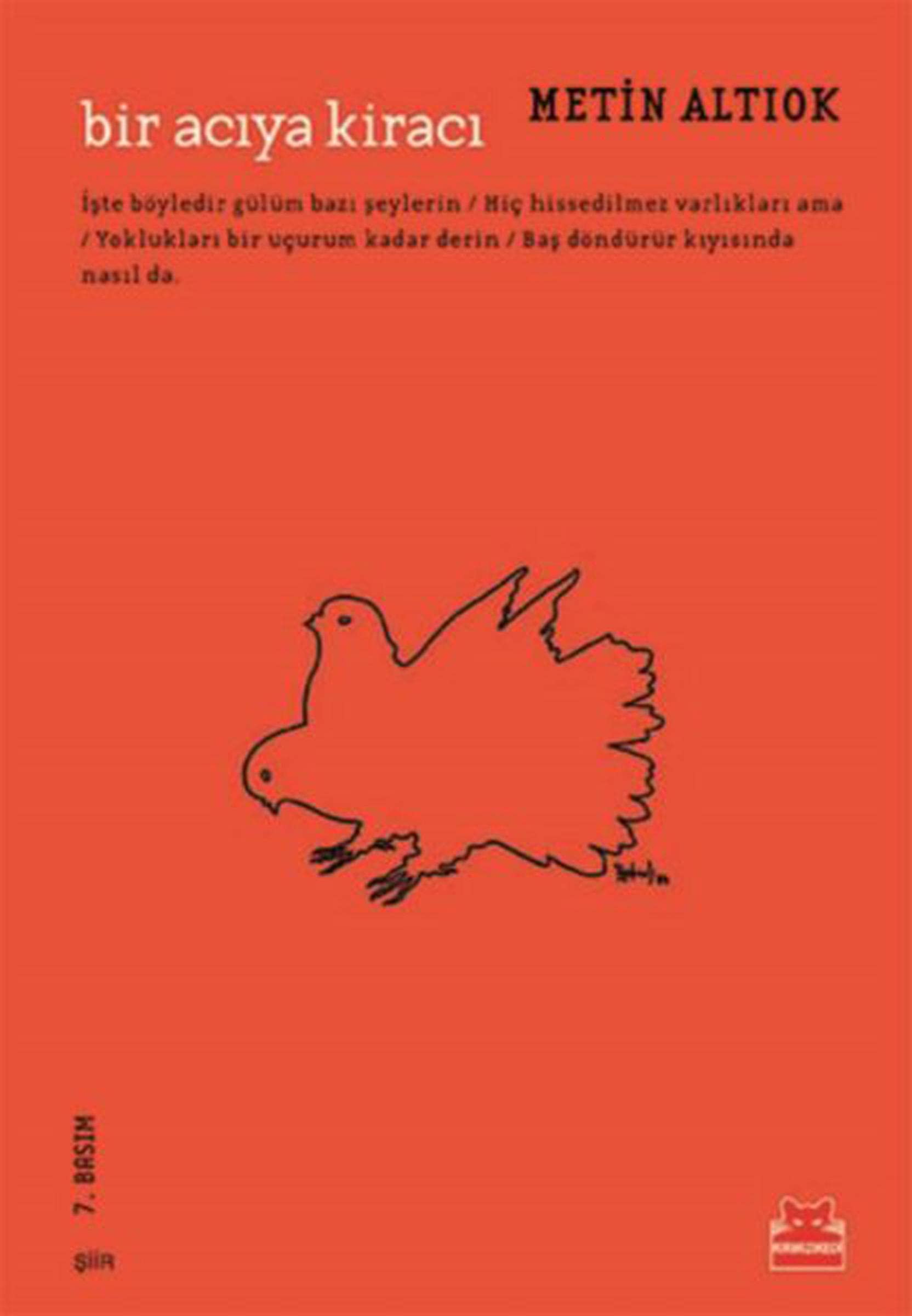 Bir Aciya Kiraci: Bütün Siirleri: Bütün Şiirleri Poetry