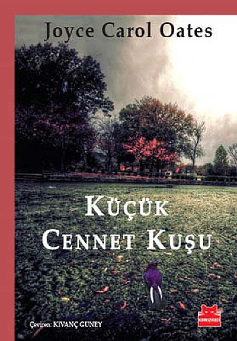 Kücük Cennet Kusu Historical Fiction