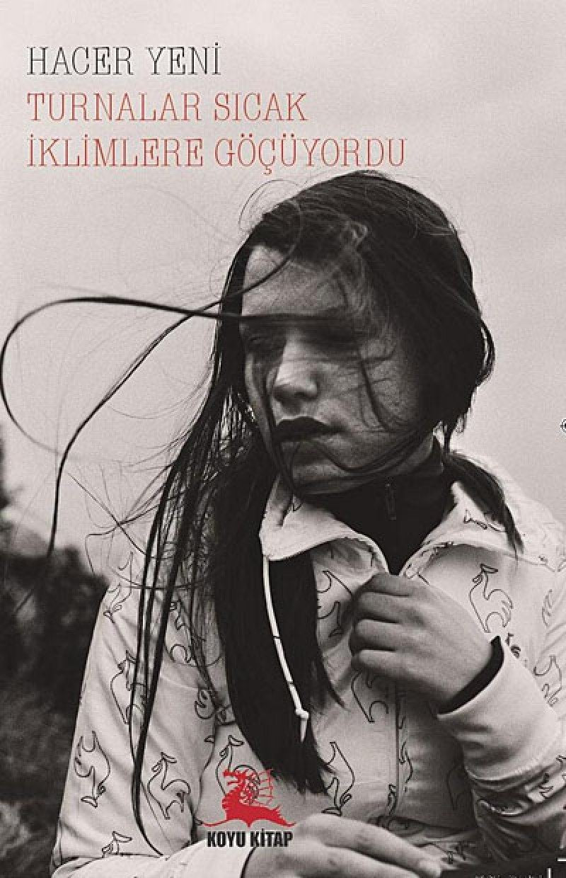 Turnalar Sıcak İklimlere Göçüyordu book