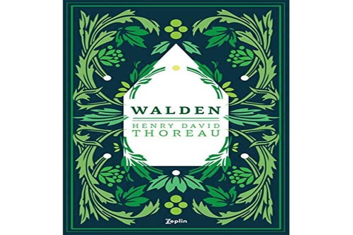 Product Image: Walden - Ormanda Yasam
