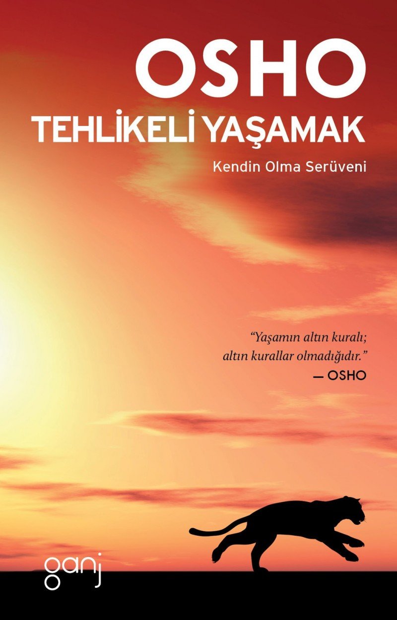 Product Image: Tehlikeli Yasamak