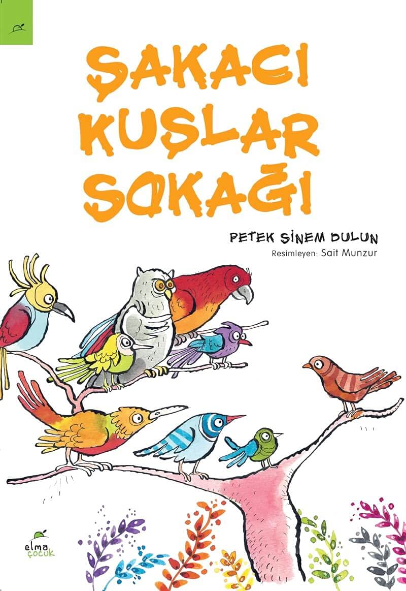 Sakaci Kuslar Sokagi Contemporary literature