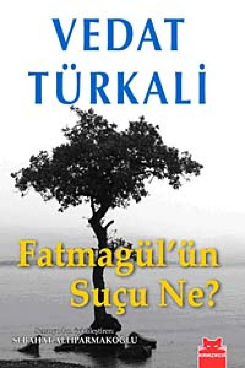 Fatmagülün Sucu Ne book
