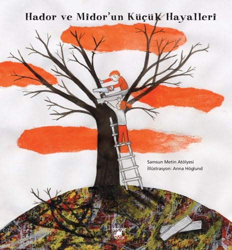 Hador ve Midor’un Küçük Hayalleri: Samsun Metin Atölyesi Contemporary literature