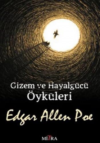 GİZEM VE HAYALGÜCÜ ÖYKÜLERİ book