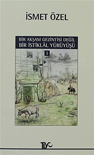 Bir Aksam Gezintisi Degil Bir Istiklal Yuruyusu 1 Books