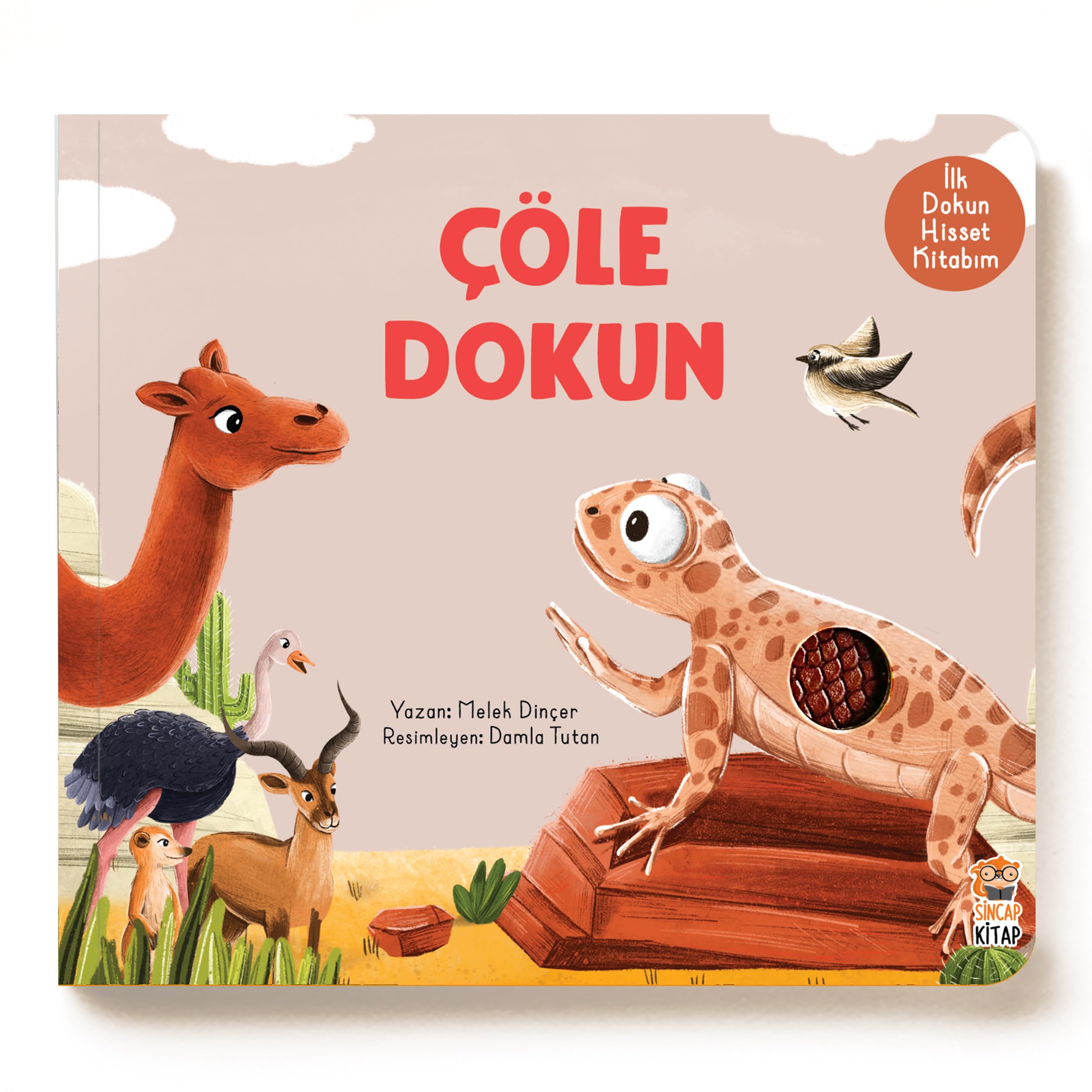 İlk Dokun Hisset Kitabım / Çöle Dokun book
