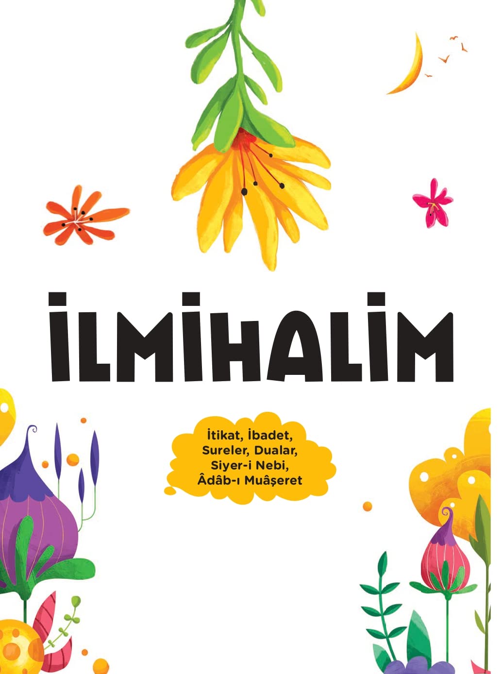 Ilmihalim Politics & History