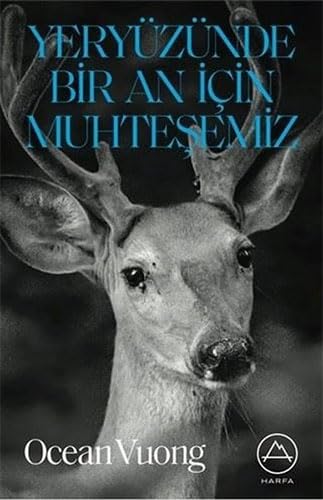 Yeryüzünde Bir An Icin Muhtesemiz Historical Fiction