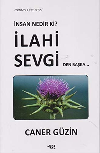 İnsan Nedir Ki? İlahi Sevgiden Başka... Books