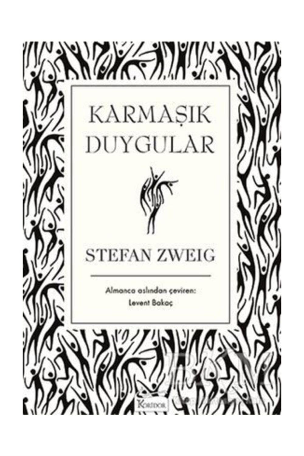 Karmaşık Duygular (Bez Ciltli) Historical Fiction