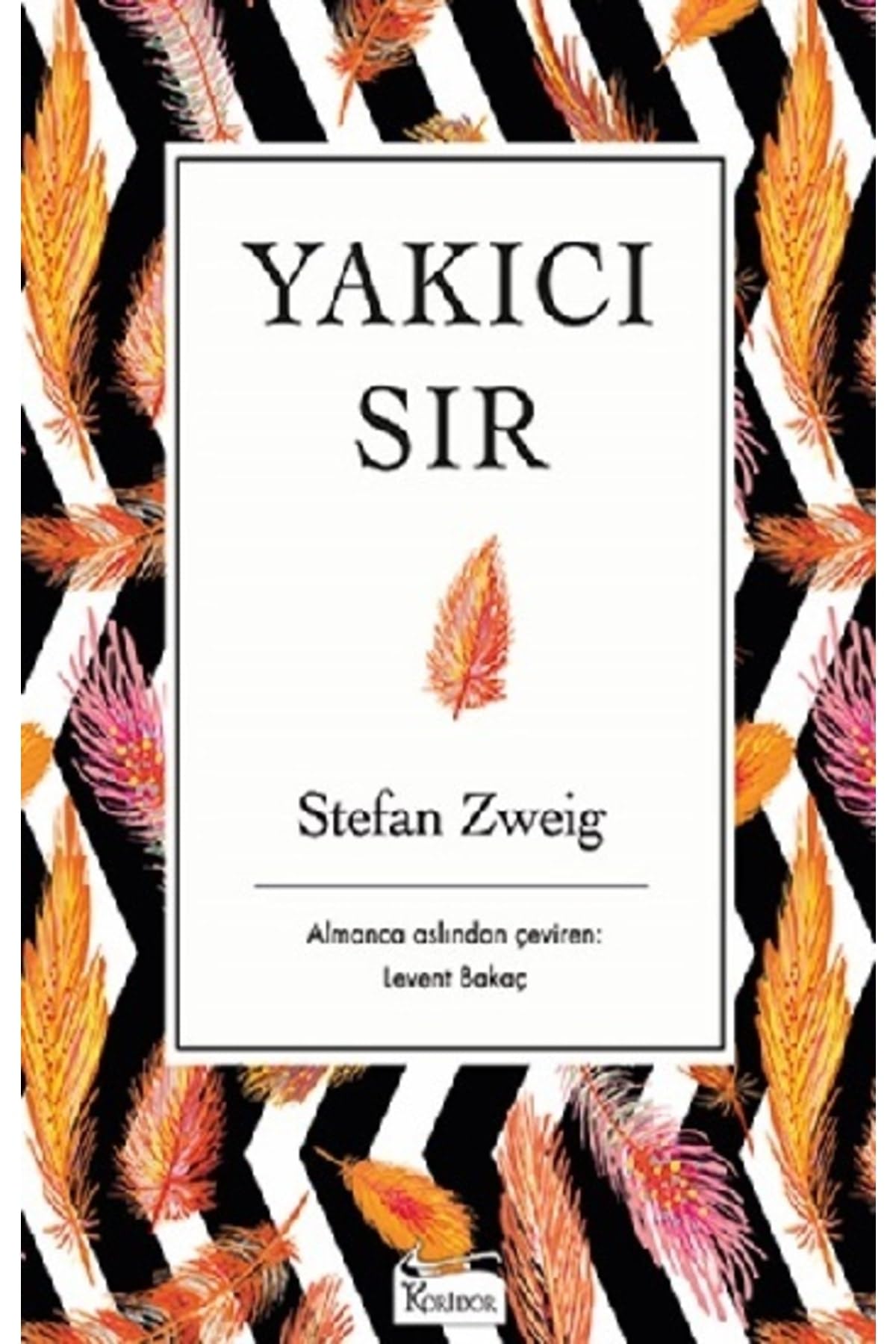 Yakıcı Sır (Bez Ciltli) Historical Fiction