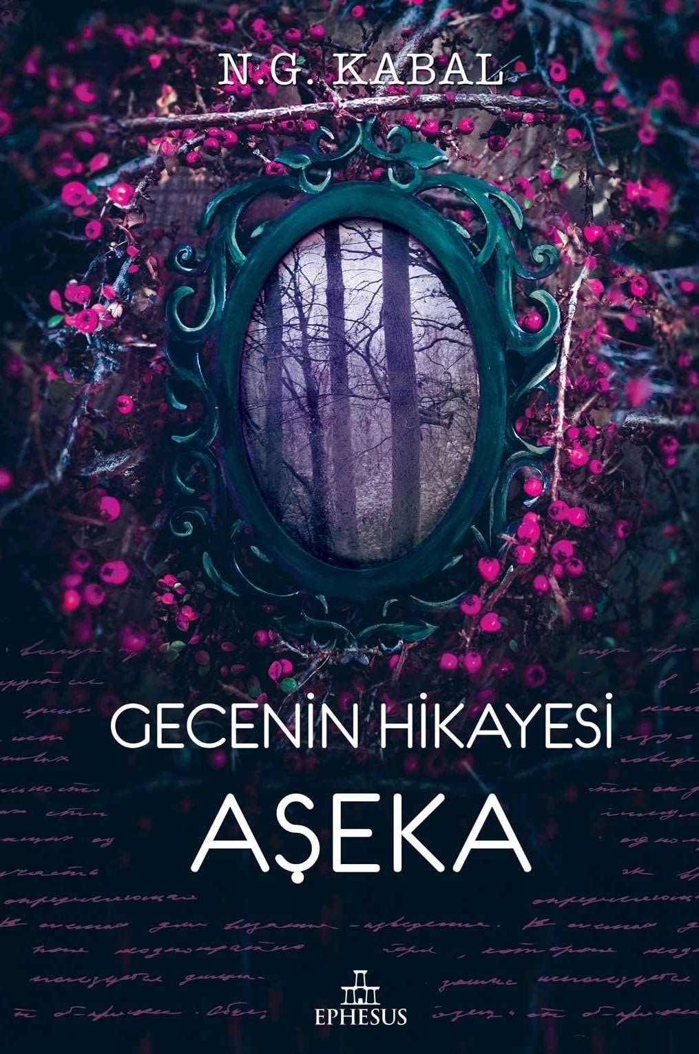 Gecenin Hikayesi Aseka Ciltli book