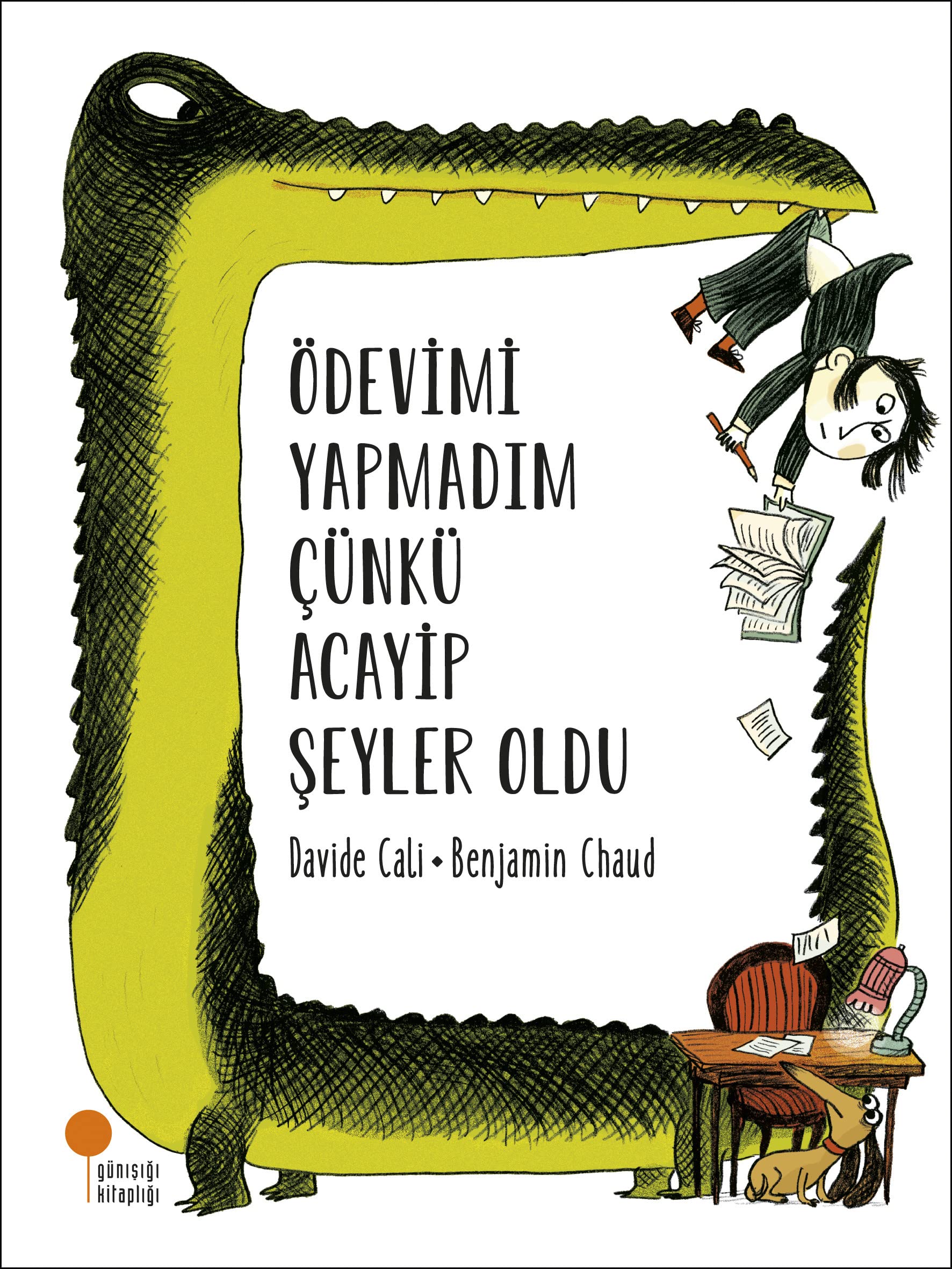 Ödevimi Yapmadım Çünkü Acayip Şeyler Oldu Contemporary literature