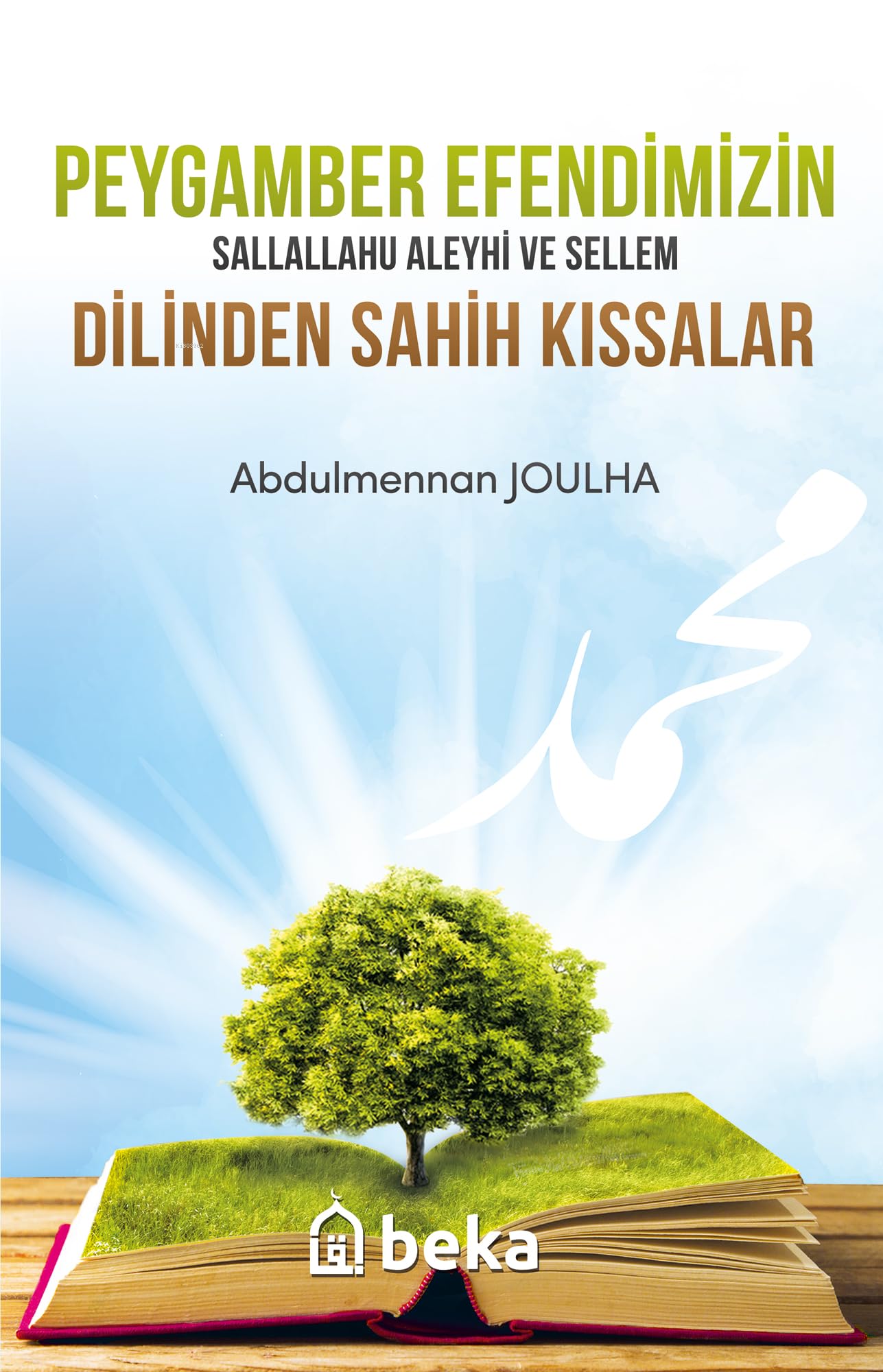 Peygamber Efendimizin sav Dilinden Sahih Kıssalar Books