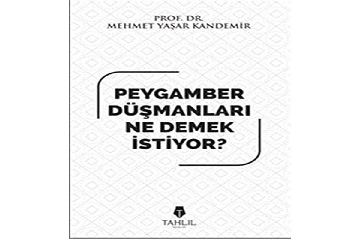 Peygamber Düsmanlari Ne Demek Istiyor? Books