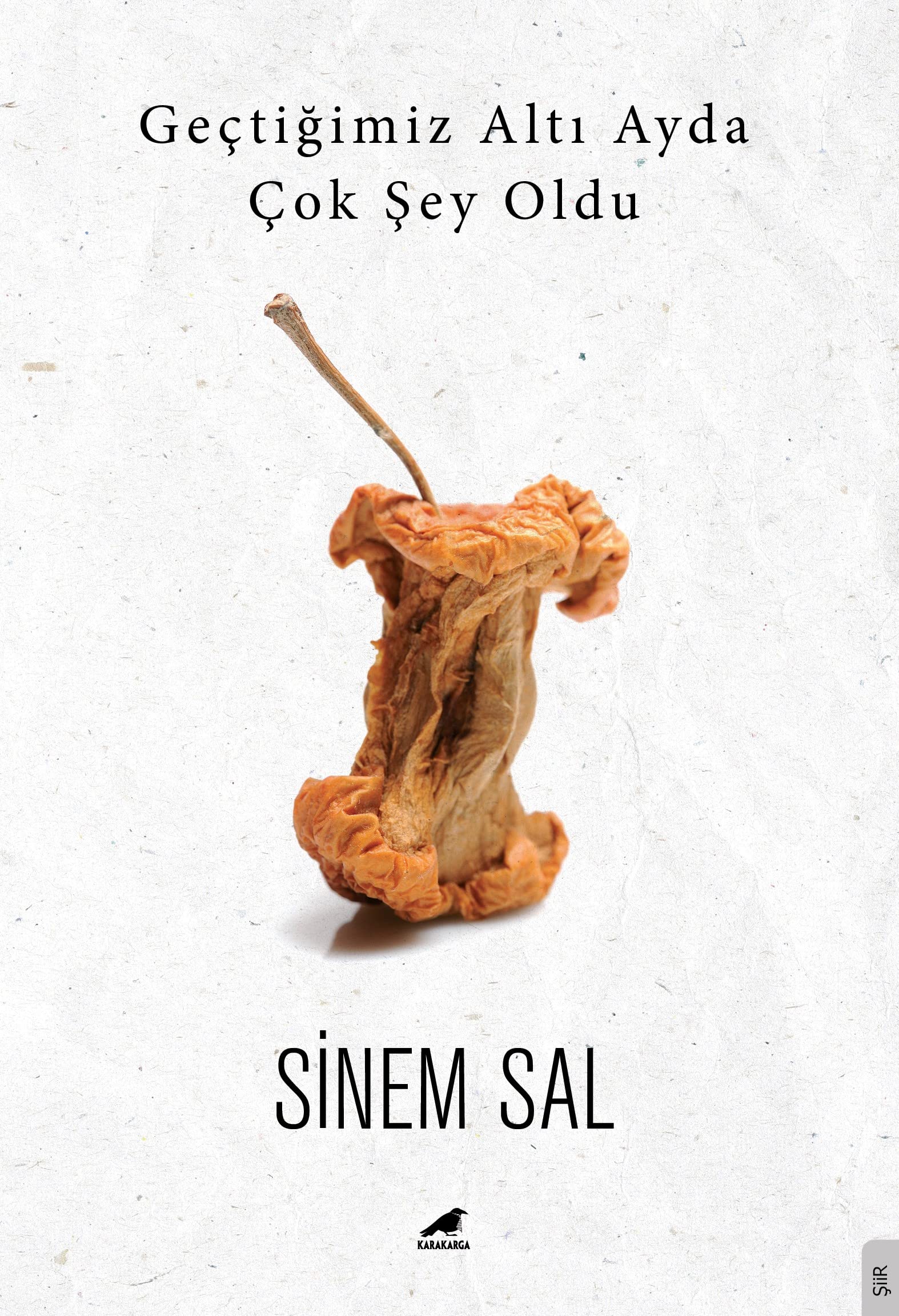Gectigimiz Alti Ayda Cok Sey Oldu Poetry